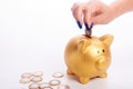 Woman's hand putting coins Brazilian money into piggy bank Royalty Free Stock Photo