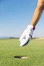 WomanÃÂ´s hand putting a golf ball into hole. Royalty Free Stock Photo