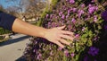 a woman's hand strokes the flowers