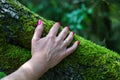 Woman\'s hand supports a forest tree with soft green moss