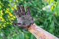 Woman`s hand in the swamp after work in the garden