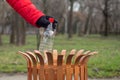 A woman`s hand is throwing away plastic bottle in a recycling bin. Hand throwing empty plastic water bottle in recycling bin Royalty Free Stock Photo