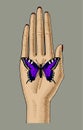 Woman`s hand with a violet butterfly sitting on her palm Royalty Free Stock Photo