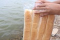 Woman`s hand was unpacking the bread bag to feed the fish in the river With many pets Royalty Free Stock Photo