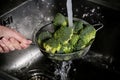 Woman`s hand washing broccoli under running water at the kitchen sink. Royalty Free Stock Photo