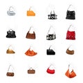 A woman's handbag on a white variety Royalty Free Stock Photo