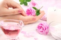 Woman's hands with beautiful manicure Royalty Free Stock Photo