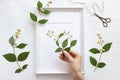 Womans hand decorate a herbarium of flowers in a frame for pictures. Floral art. Royalty Free Stock Photo