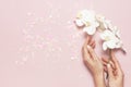 Woman`s hands with gentle manicure hold branch of White Phalaenopsis orchid flowers on pastel pink background with festive Royalty Free Stock Photo