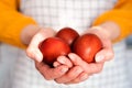 Woman`s hands hold red Easter eggs. Coloring eggs with natural dyes. Close-up. Selective focus