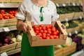 Woman`s hands holding a big box of tomato harvest in market Royalty Free Stock Photo