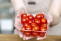 Woman's hands holding a box of cherry tomatoes close-up. Preparing cherry tomatoes for salad or side dish. Royalty Free Stock Photo