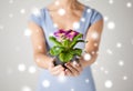 Woman's hands holding flower in pot Royalty Free Stock Photo