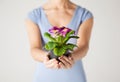 Woman's hands holding flower in pot Royalty Free Stock Photo