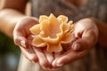 Woman\'s hands holding a flower-shaped wax shaving product, highlighting the connection between femininity,