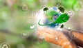 A woman`s hands holding the green planet Earth. 3D rendering. Environmental biodiversity in ecosystem concept. Concept of Royalty Free Stock Photo