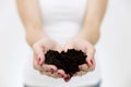 Woman`s hands holding green small plant in soil. Growth concept. Nature concept Royalty Free Stock Photo