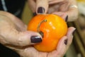 Woman`s hands holding an orange hot pepper and feeling it to see if it is any good with blurred background