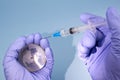 Woman`s hands in medical gloves is holding a planet earth globe and a syringe Royalty Free Stock Photo