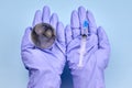 Woman`s hands in medical gloves is holding a planet earth globe and a syringe Royalty Free Stock Photo