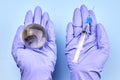 Woman`s hands in medical gloves is holding a planet earth globe and a syringe Royalty Free Stock Photo