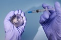 Woman's hands in medical gloves is holding a planet earth globe and a syringe Royalty Free Stock Photo