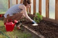 Woman`s hands planting tomato seedlings in greenhouse. Organic gardening and growth concept Royalty Free Stock Photo