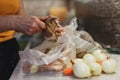 Woman`s hands in process of peeling unwashed potato above plastic bag