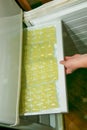 Woman's hands stack bags for ice cubes with lemon juice in the freezer.