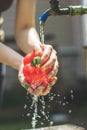 Woman`s hands wash red paprika. Paprika under flow of water. Ingredient for vegetarian salad. Vegetables that taste good Royalty Free Stock Photo