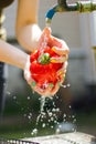 Woman`s hands wash red paprika. Paprika under flow of water. Ingredient for vegetarian salad. Vegetables that taste good Royalty Free Stock Photo