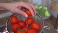 Woman`s hands is washing ripe tomatoes at her kitchen