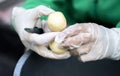 Woman`s hands in white gloves peel raw new potatoes, close-up. Cleaning organic potatoes. Detail of female hands peeling fresh Royalty Free Stock Photo