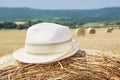 Woman's hat and yellow haystack