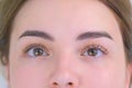 Woman`s lashes after beauty procedure of eyelash lifting and laminating, closeup