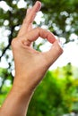 Woman`s left hand symbol meaning ` OK ` in bokeh green garden background, Asian body skin part, Symbol, Gesturing, Body Language