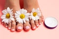 Woman`s perfect, groomed feet with of natural herbal cream. Love a feet. Beautiful flowers on pink background. Care about clean, Royalty Free Stock Photo