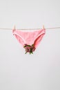 Woman`s pink underwear with flowers on clothesline, concept content for feminist blog, poster about women`s health