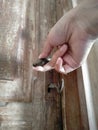 The woman`s right hand held the old key, in the lock of the old wooden door Royalty Free Stock Photo