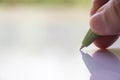 Woman right Hand holding green plastic ballpoint pen, Writing letter on white acrylic background, Business, Education Royalty Free Stock Photo