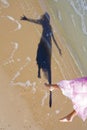 Woman's shadow on the beach Royalty Free Stock Photo