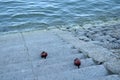 Woman's shoes on the stone stairs Royalty Free Stock Photo