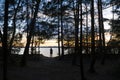 Woman`s silhouette between trees in front of evening lake