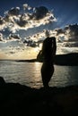 Woman's sillhouette on the beach