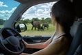 Woman on safari looking at elephant