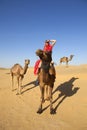 Woman in sari riding a camel. Royalty Free Stock Photo