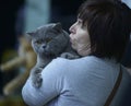 Woman saying something to the gray British shorthaired cat keeping it on hands, cat show