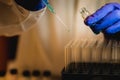 A woman scientist adding Organic reaction in test tubes in a laboratory