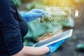 Woman scientist genetic engineer testing the plant for the presence of genetic modification. Organisms polluted with GMO