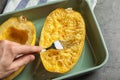 Woman scraping flesh of cooked spaghetti squash with fork on table Royalty Free Stock Photo